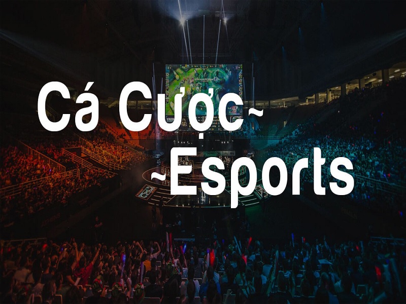 Kinh nghiệm cá cược Esport